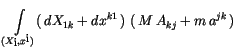 $\displaystyle \, \displaystyle\int \limits_{(X_i,x^i)} (\, dX_{1k} + dx^{k1}\, ) \ (\,M\, A_{kj} + m\, a^{jk}\, )$